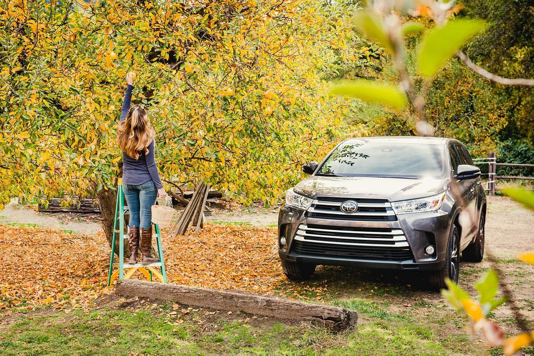 Toyota Thanksgiving calls for fresh baked apple pies, so we stocked