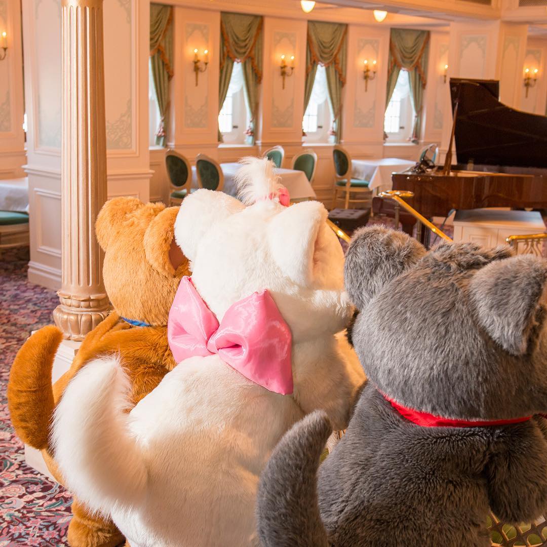 Tokyo Disney Resort Playful Aristocats にゃんにゃんにゃん Marie Berlioz Toulouse Aristocats Sscolumbia Ciao Nihon Tokyo Disney Resort Playful Aristocats にゃんにゃんにゃん Marie Berlioz Toulouse Aristocats Sscolumbia Ciao Nihon