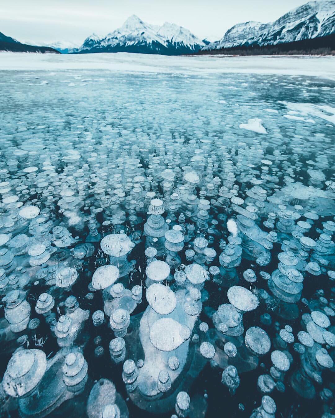 Canon Photography Absolutely crazy Methane bubbles. The Methane is