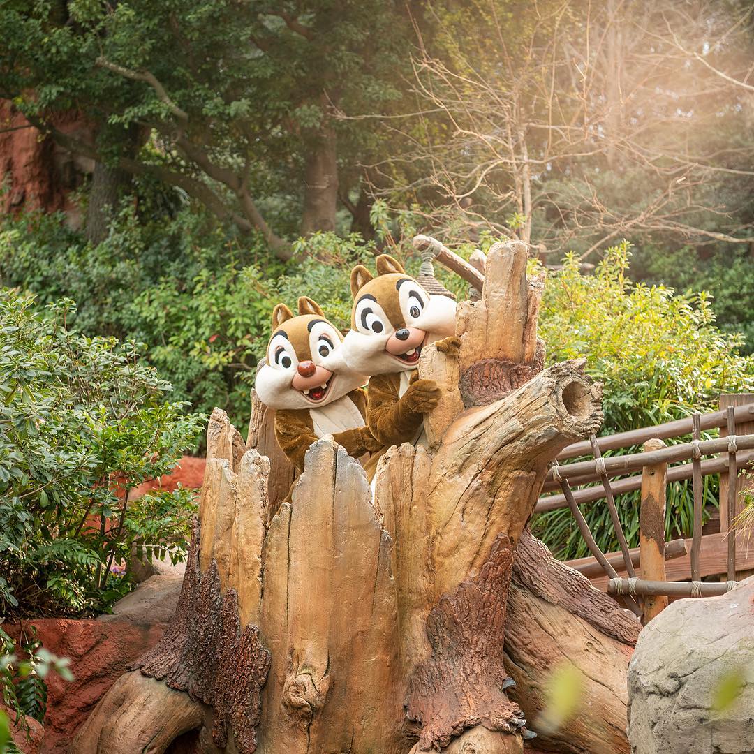 Tokyo Disney Resort Enjoying Hide And Seek いたずらっこ 発見 Chip Dale Chipanddale Screendebut Critte Ciao Nihon