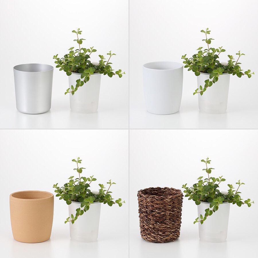 Muji無印良品 インテリアグリーン 鉢が選べる底面給水鉢の観葉植物 水の量を目で見て確認することができる底面給水鉢の観葉植物は お好きなプランター カバーと組み合わせて飾ること Ciao Nihon Muji無印良品 インテリアグリーン 鉢が選べる底面給水鉢の観葉植物 水の量を目で見て確認することができる底面給水鉢の観葉植物は お好きなプランター カバーと組み合わせて飾ること Ciao Nihon