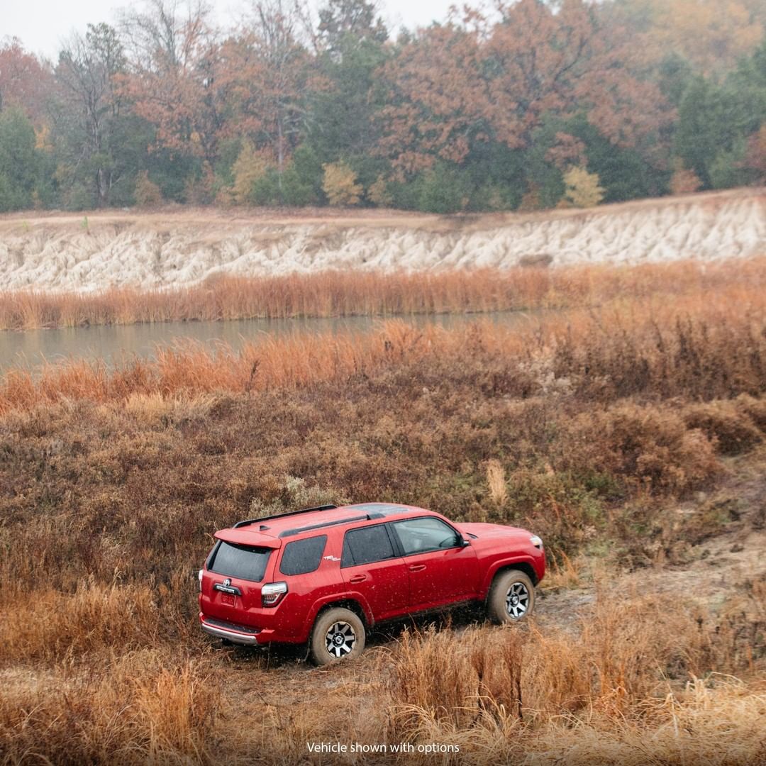 Thanksgiving 20274 2025 4runner Diana Millisent