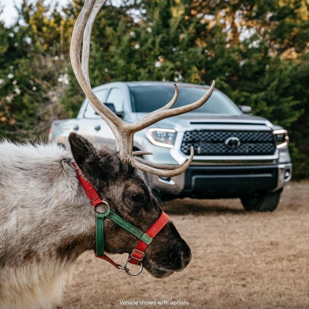 Toyota The most famous reindeer of all, Tundra! LetsGoPlaces