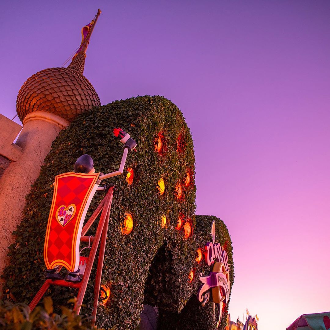 Tokyo Disney Resort Beautiful Red Roses ハートの女王が好きな色 Queenofheartsbanquethall Fantasyland Tokyod Ciao Nihon