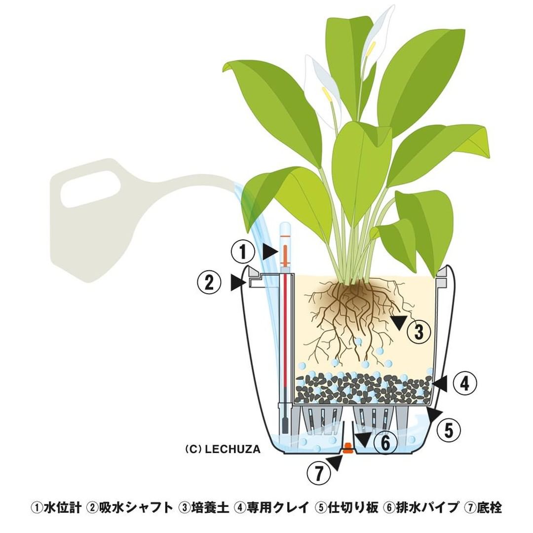 Muji無印良品 ネット限定 水やりのタイミングが見える観葉植物 植物を育てるときには 適切なタイミングで水やりすることが肝心です レチューザに植えた観 Ciao Nihon Muji無印良品 ネット限定 水やりのタイミングが見える観葉植物 植物を育てるときには 適切なタイミングで水やりすることが肝心です レチューザに植えた観 Ciao Nihon