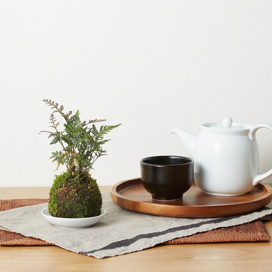 Muji無印良品 Green Flower 新年を迎える 苔玉 盆栽と同様に 自然の姿を模した苔玉 和の雰囲気をお部屋に取り入れ あらたまった気持ちで新しい年を迎えてみ Ciao Nihon