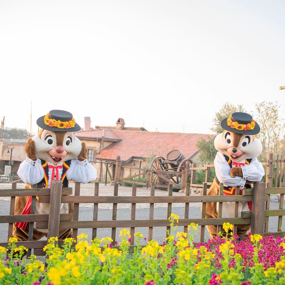 Tokyo Disney Resort It S Spring 春をさがしに Chip Dale Chipanddale Screendebut Mediterraneanharbor Ciao Nihon