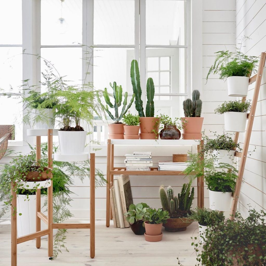 フェイクグリーン Ciao Nihon