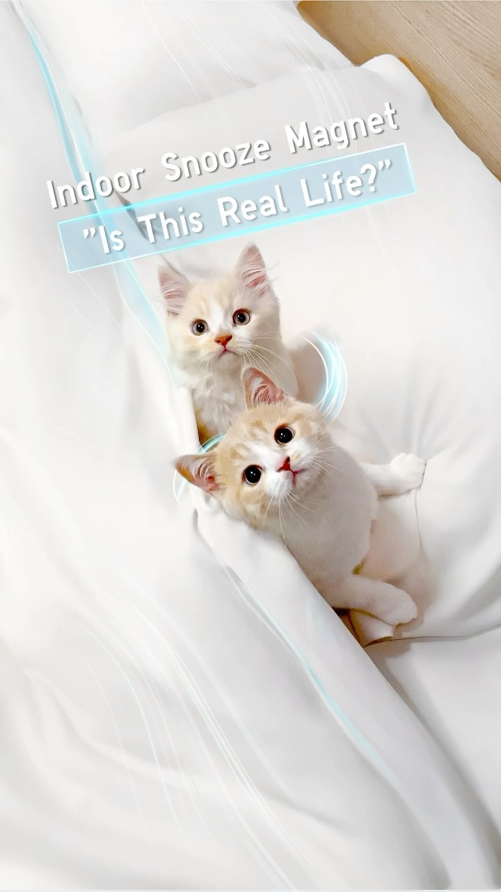 UNIQLO ユニクロ Enjoy cool and comfortable AIRism bedding sheet this hot