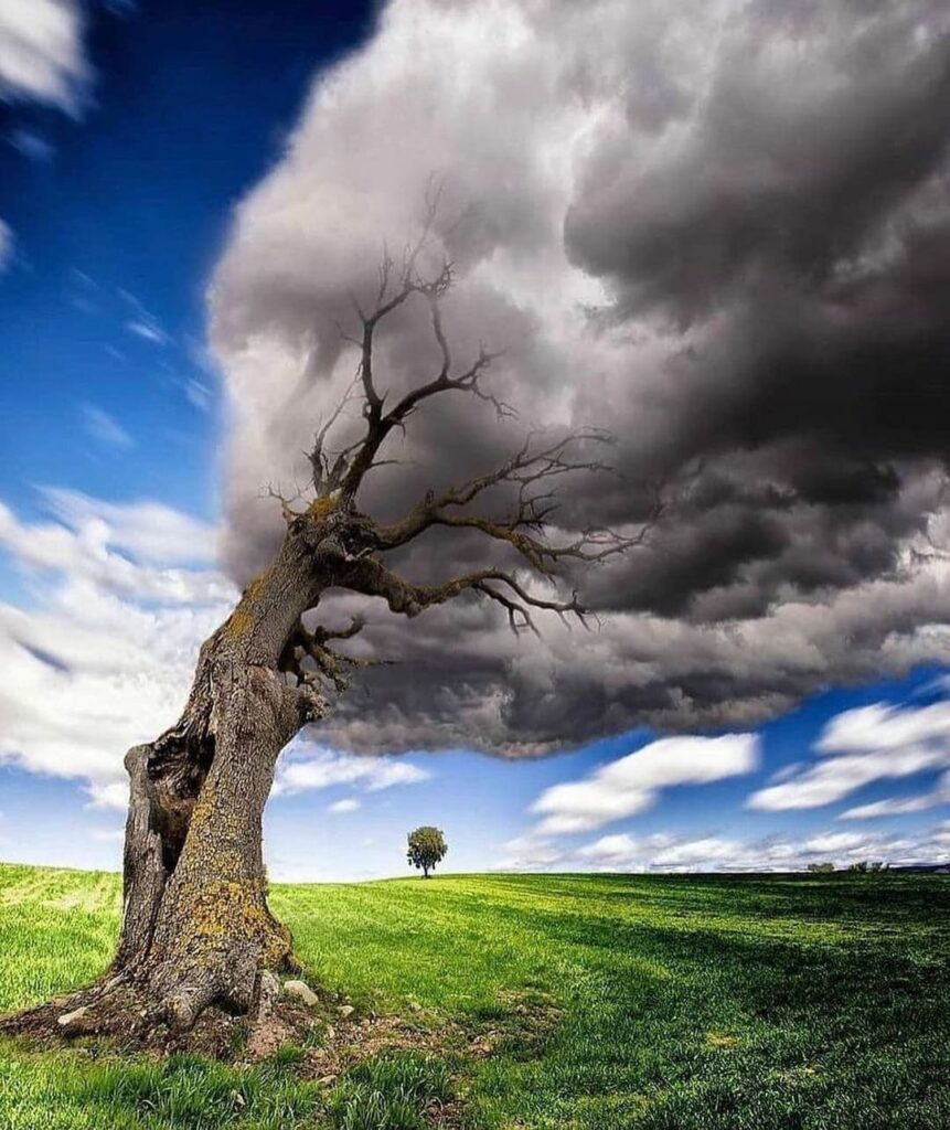 Cloud Tree   
Photography/Art // @marta_borreguero21
Curated by @steffeneisenach...