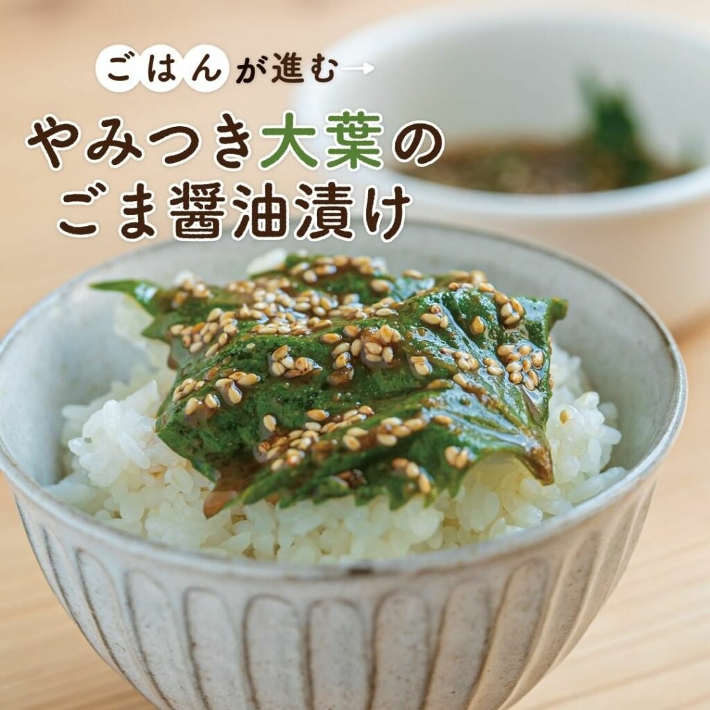大葉レシピ Ciao Nihon