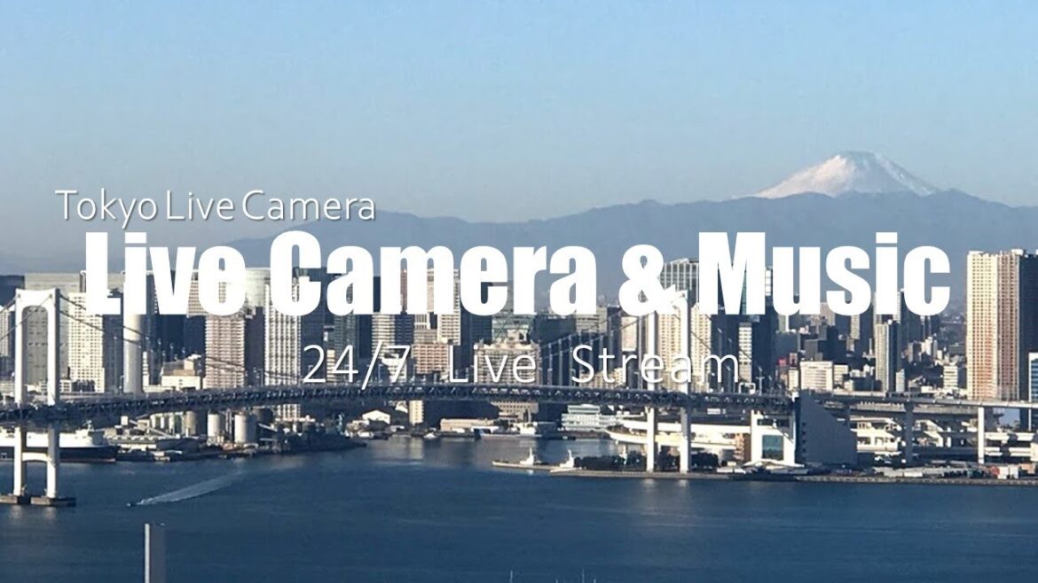 【TOKYO Live Cam】東京豊洲ライブカメラ レインボーブリッジ&富士山&豊洲市場 TOKYO LIVECAM Mt.FUJI&TOYOSU Market 【TOKYO Live Cam】東京豊洲ライブカメラ レインボーブリッジ&富士山&豊洲市場 TOKYO LIVECAM Mt.FUJI&TOYOSU Market