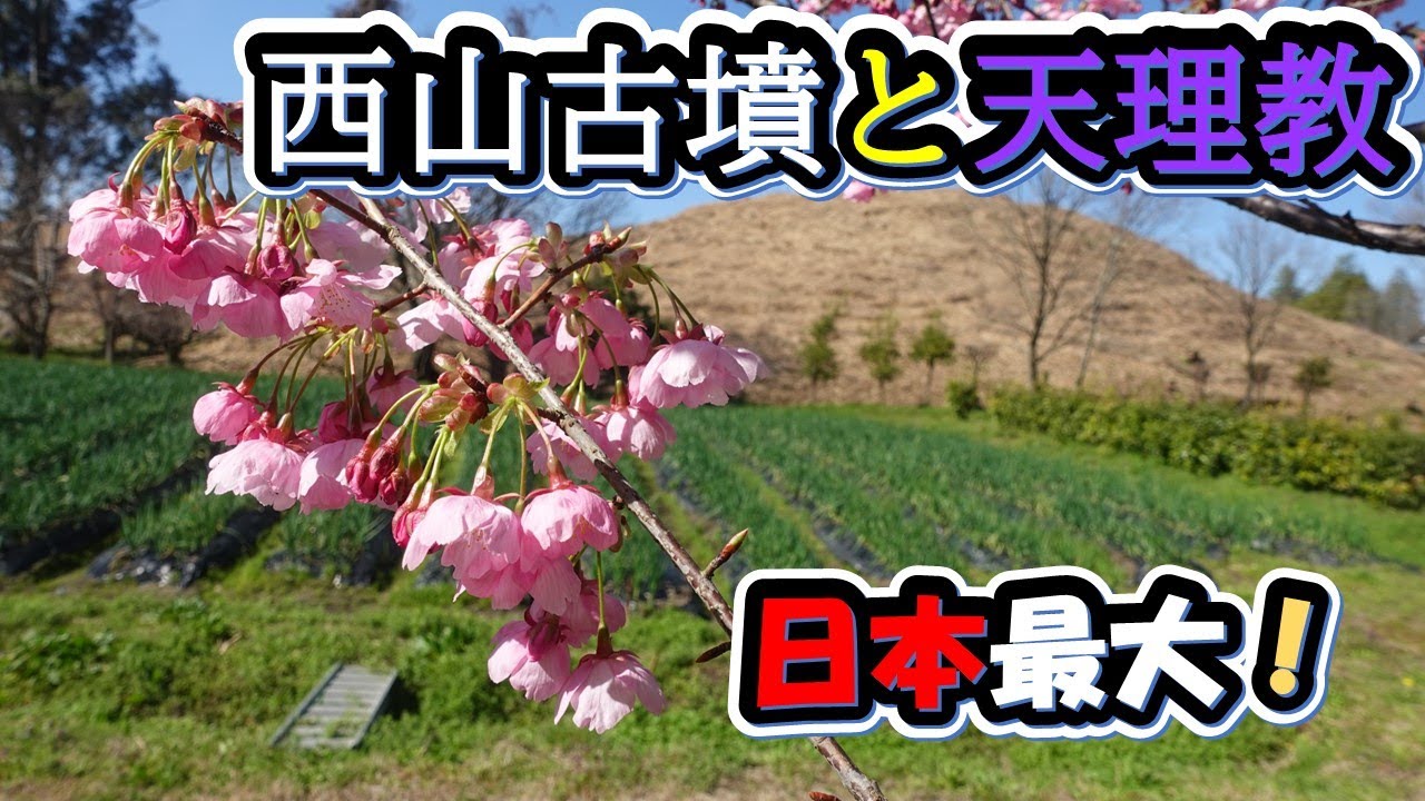 【西山古墳と天理教】日本最大の前方後方墳！杣之内古墳群の盟主墳（国史跡）を見学 Ciao Nihon