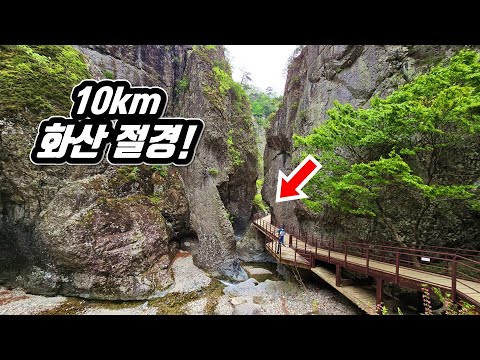 🚌 세계가 인정한 최고의 '10km' 화산 절경 트레킹 코스! | 📸 대중교통 당일치기 여행 |🇰🇷 World Class Volcano Trekking Course in KOREA