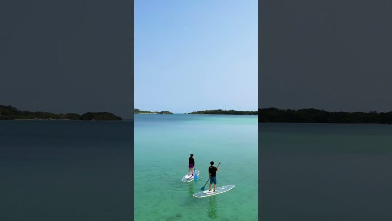 【#石垣島 / #クリアサップ】石垣島でのクリアサップ体験をドローンで撮ってみた #ドローン