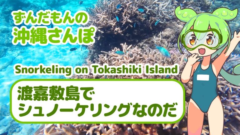 【4K】渡嘉敷島でシュノーケリングなのだ【ずんだもんの沖縄さんぽ】Snorkeling on Tokashiki Island, Okinawa
