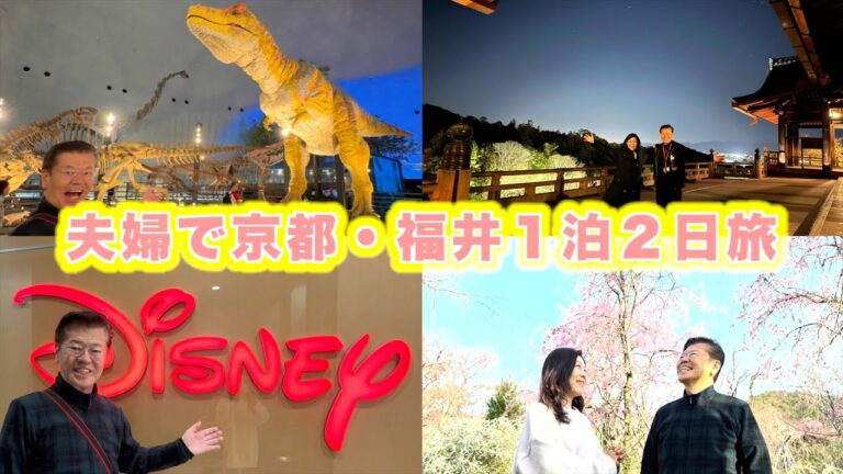 【清水寺貸切プラン】京都の名所＆ディズニーストア＆話題の恐竜博物館にも行ってきた！