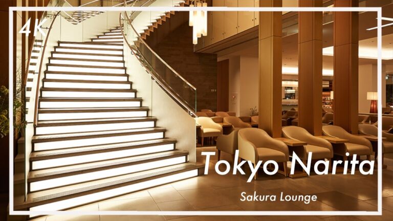 Tokyo NARITA 🇯🇵 | JAL SAKURA Business Class Lounge 🍸 HUGE 2 Floor Lounge at Narita Airport in Tokyo!
