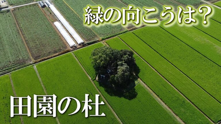 【熊本】田園の杜　編　（ Vol.86.1 ）／緑の向こうは？癒しタイムです！【4K空撮】