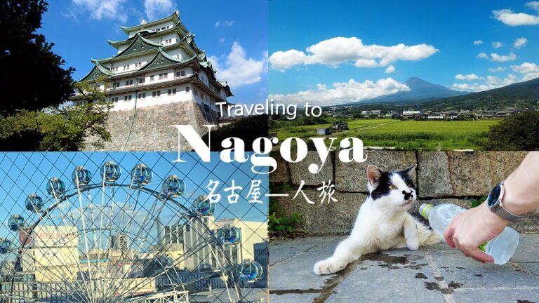 Summer Trip to Nagoya | Solo travel | Overheated Cat 😿🥵 Hotel Room Tour | Snacks, Shopping, Castle 🏯
