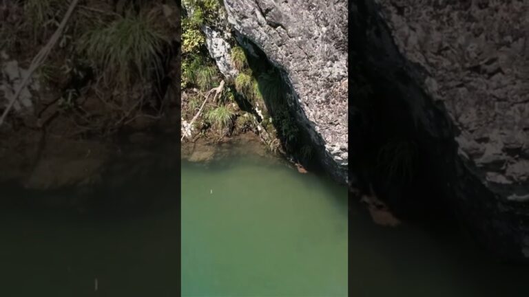 長良川ラフティングRATベース近くの飛び込み岩（５ｍ以上）＃空撮　＃ドローン