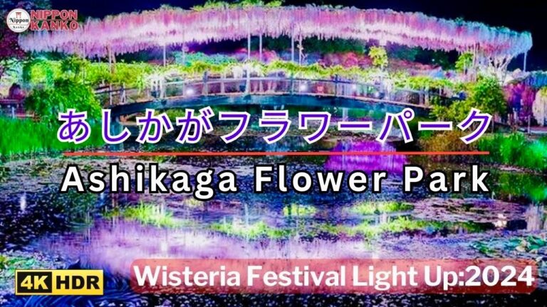 【あしかがフラワーパーク】大藤まつりライトアップ | 【Ashikaga Flower Park】 The Best Wisteria Garden in Japan | 4K