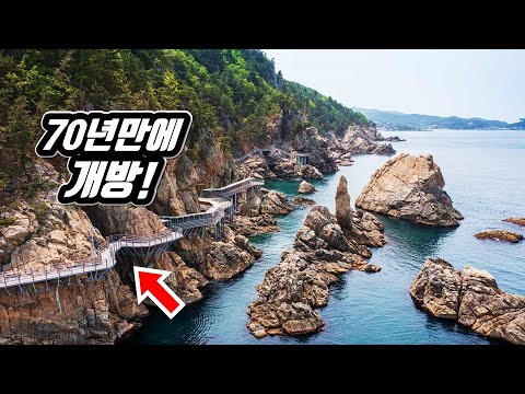 🚌 70년만에 개방된 압도적인 비경!  동해 최고의 미항에서 시작하는 '7km' 절경 트레킹 코스 | 📸 대중교통 당일치기 여행 | 🇰🇷 Cliff Trekking in Korea