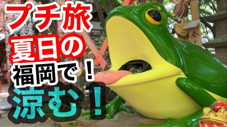 「プチ旅」真夏の陽気になった福岡、小郡でカエルにまみれてきた！
