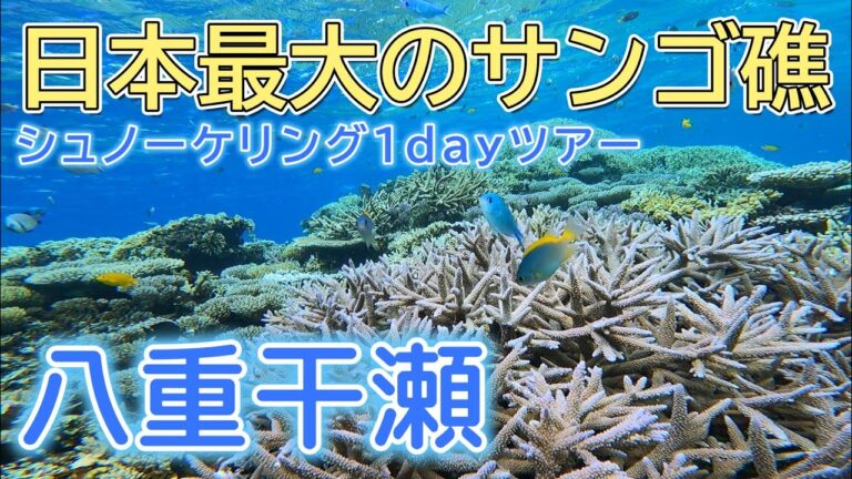 八重干瀬シュノーケリング1日ツアー 宮古島沖の日本最大のサンゴ礁 シュノーケリング愛好家が結局最後にたどり着く 夢のようなサンゴの森が広がる海 2024年5月