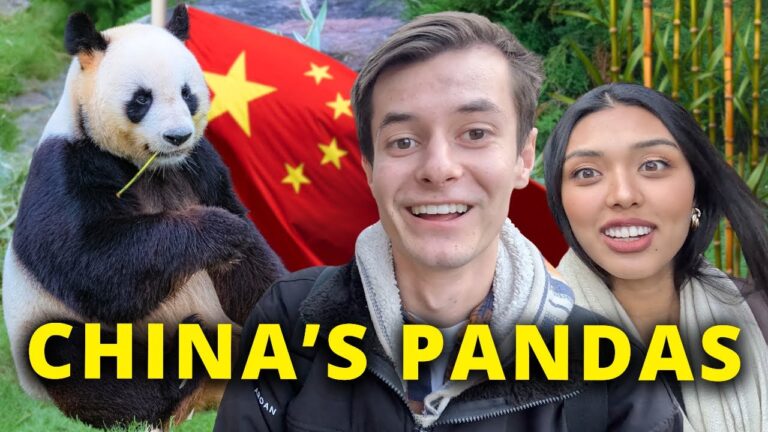 French Missionary Discovered China's Pandas?! 🇨🇳 (Let's Find out)