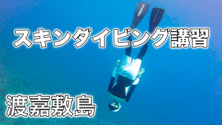 【10m潜る】渡嘉敷島でスキンダイビング講習を受けたらサクッと10m超えた