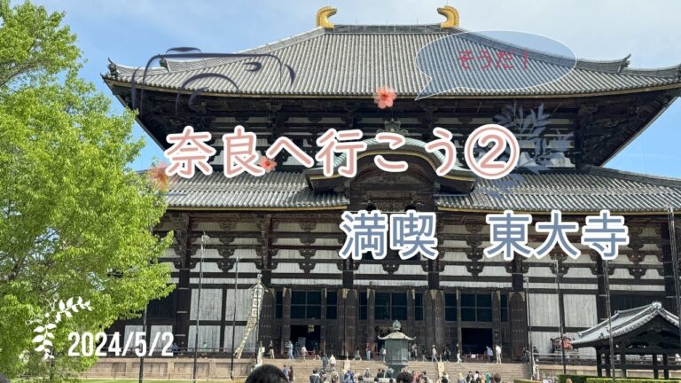 新緑の東大寺を大満喫！鹿が多過ぎ奈良観光！！