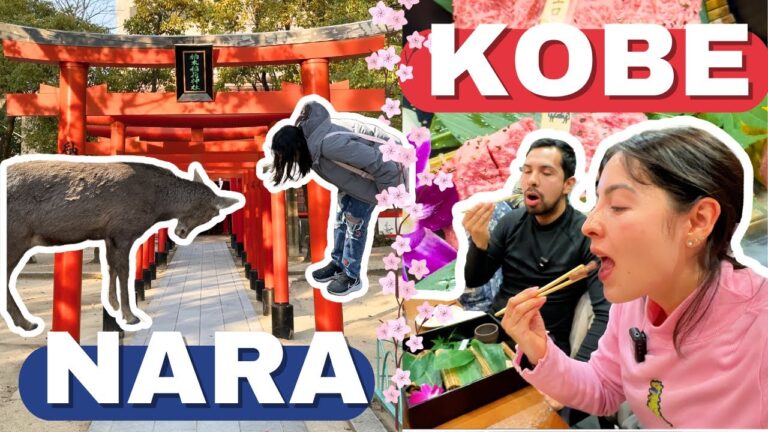 El Mejor Viaje de Un Día en Japón🇯🇵: Nara y Kobe - Diana y Aarón