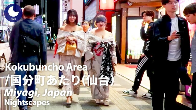 ⁴ᴷ Miyagi: Kokubuncho Area (宮城県: 仙台市国分町あたり) - Japan Walking Tour (May, 2024)