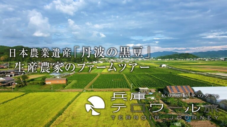 日本農業遺産「丹波の黒豆」生産農家のファームツアー