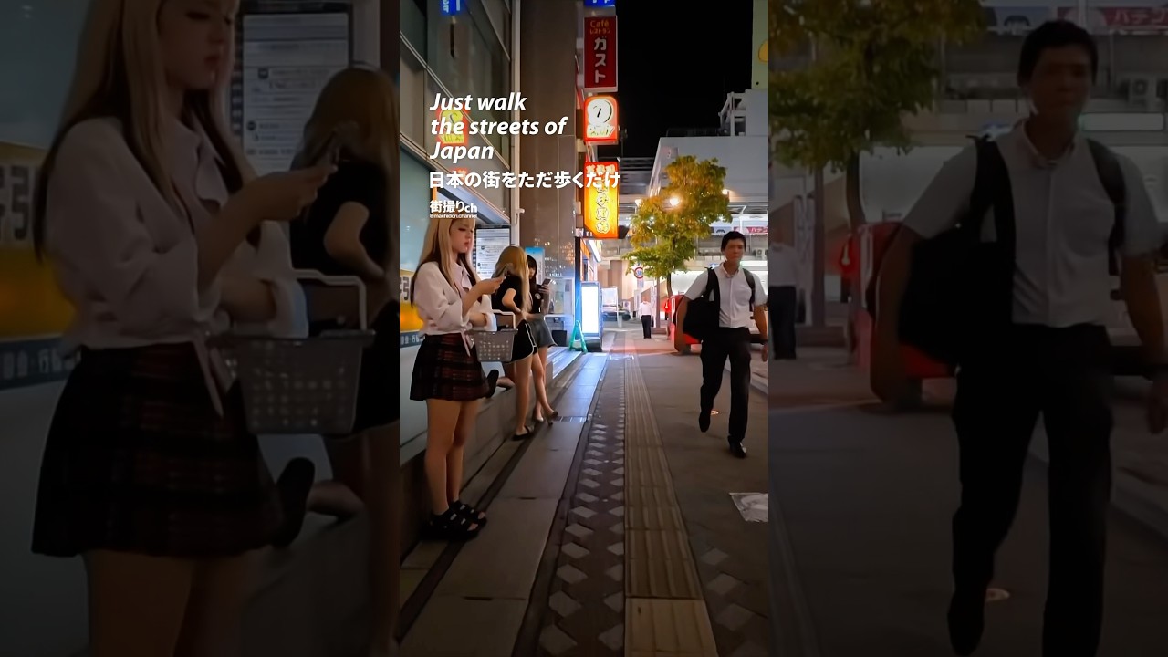 Chiba Motoyawata Station (千葉県 本八幡駅) Japan Walking Tour 