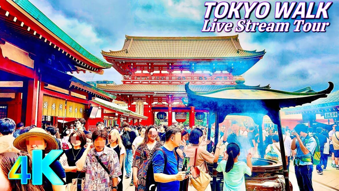 Japan Walk Compilation Live Stream Tour in 4K 🇯🇵✨