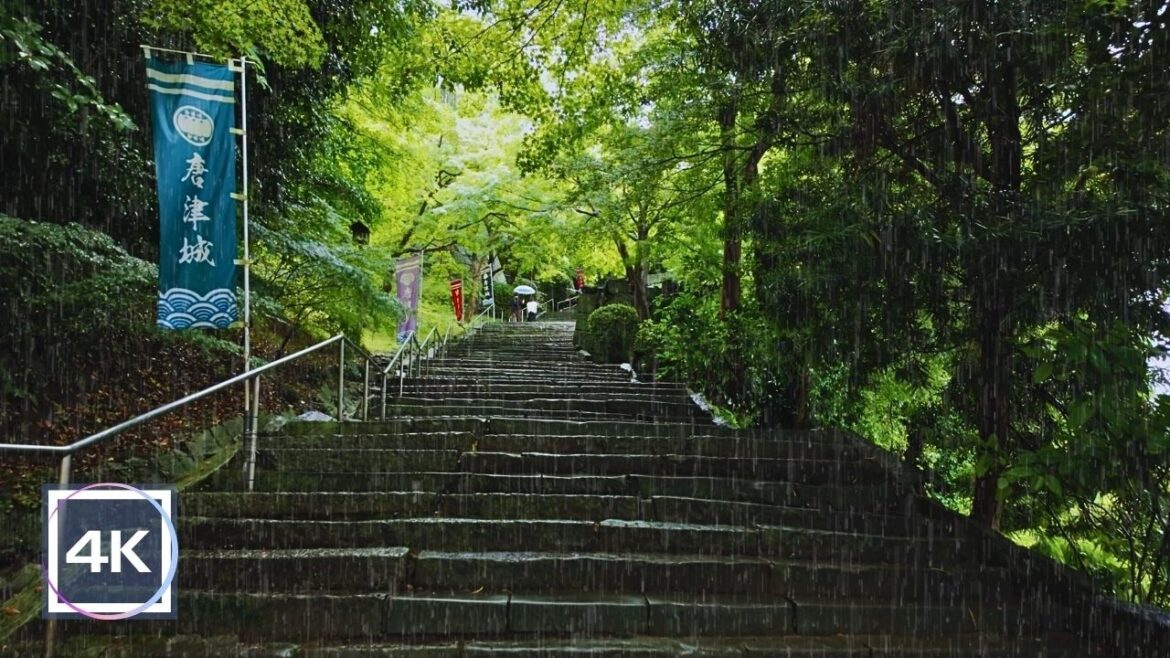 4K Japan, Karatsu Castle Ambience and Rainy Virtual Walk 🏯 :雨の唐津城 ☔️ 4K Japan, Karatsu Castle Ambience and Rainy Virtual Walk 🏯 :雨の唐津城 ☔️