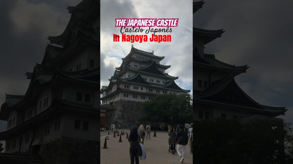 Nagoya castle in Aichi-Ken Japan #castle #japanesecastle #japaneseculture #tour #castelo #japão Nagoya castle in Aichi-Ken Japan #castle #japanesecastle #japaneseculture #tour #castelo #japão