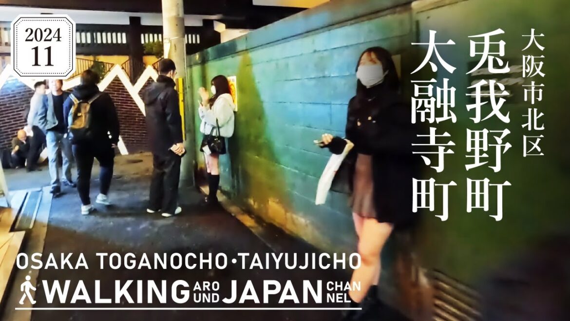 【4K/大阪夜散歩】大阪市北区兎我野町・太融寺町を街歩き Night Walking around Toganocho・Taiyujicho ,Osaka,Japan,2024