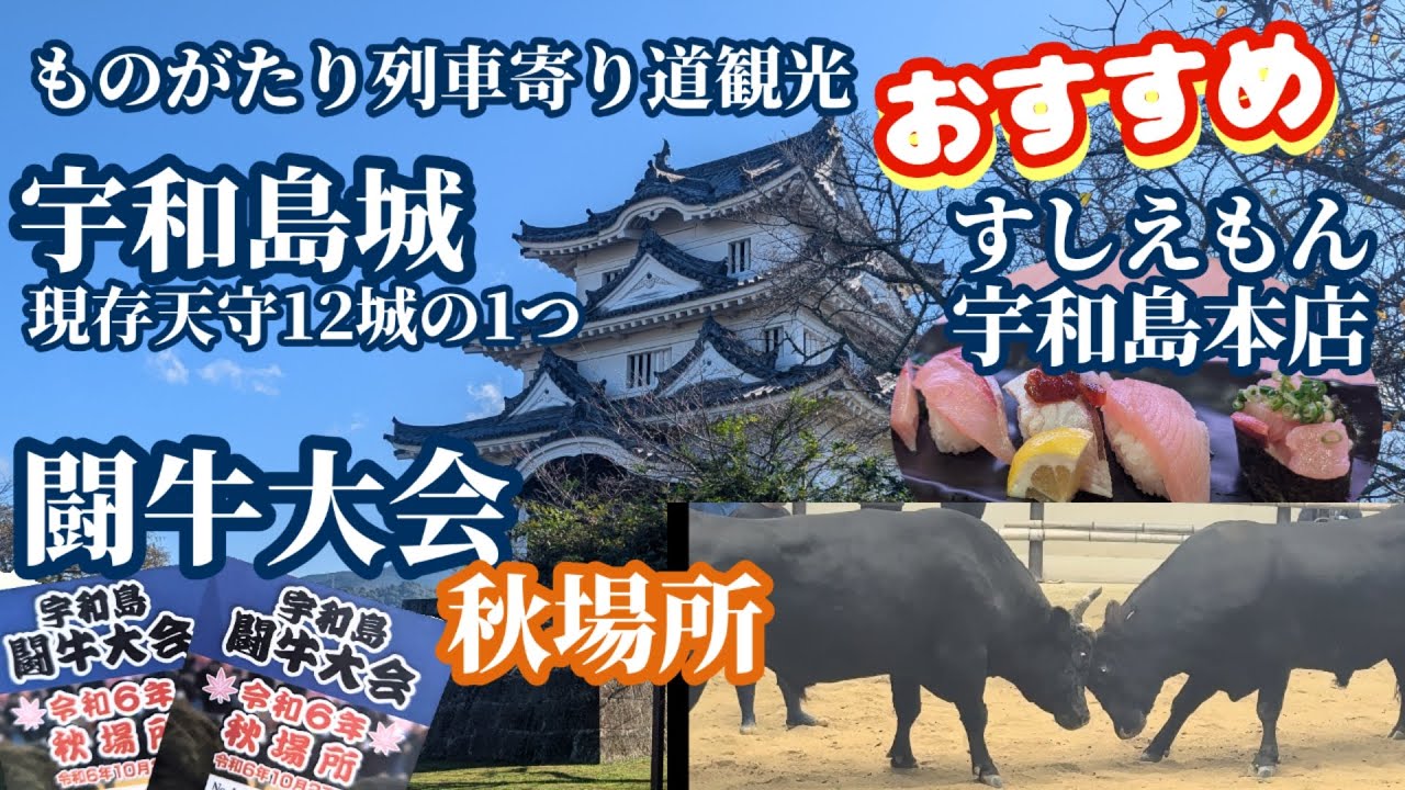 【闘牛観戦】宇和島城と宇和島闘牛大会に行ってきました - Ciao Nihon