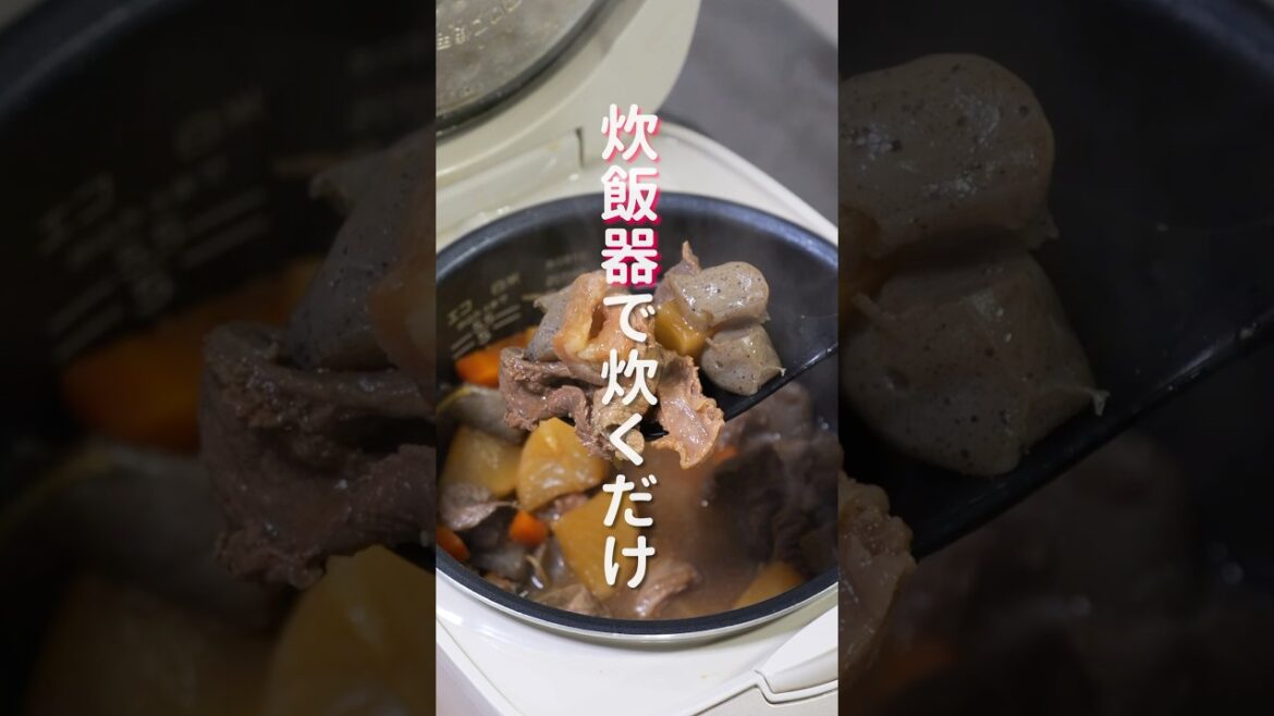 【炊飯器に入れて炊くだけ!】超簡単なのに旨すぎる「ほろほろ牛すじ煮込み」の作り方 #shorts #cooking #recipe 【炊飯器に入れて炊くだけ!】超簡単なのに旨すぎる「ほろほろ牛すじ煮込み」の作り方 #shorts #cooking #recipe
