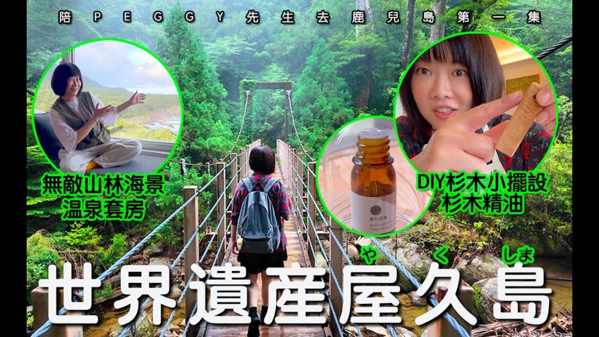 冇腳骨力人士必睇!輕鬆環遊屋久島 2024 最新景點|夢幻溫泉套房|地道居酒屋|飛魚盛宴|屋久杉香薰 DIY 體驗【陪PEGGY先生遊鹿兒島・第一集】 冇腳骨力人士必睇!輕鬆環遊屋久島 2024 最新景點|夢幻溫泉套房|地道居酒屋|飛魚盛宴|屋久杉香薰 DIY 體驗【陪PEGGY先生遊鹿兒島・第一集】