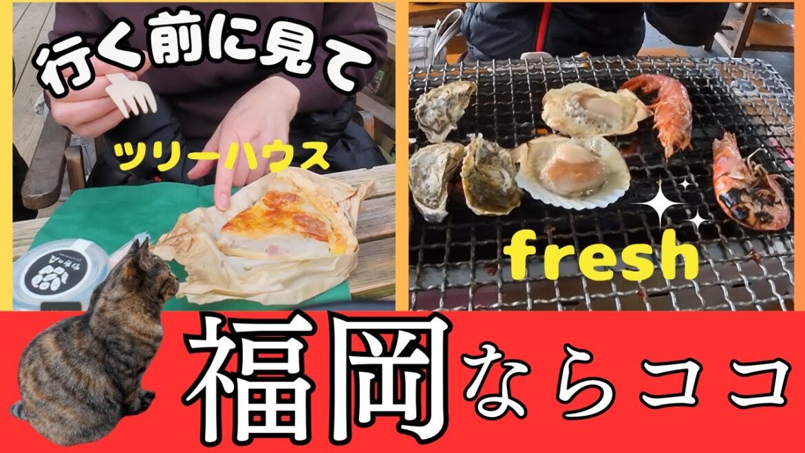 【福岡グルメ】福岡市民が大好きエリア:ツリーハウスのカフェとうどん・トトロの森・牡蠣小屋・ホテルAZ(糸島)福岡旅行の参考に! 【福岡グルメ】福岡市民が大好きエリア:ツリーハウスのカフェとうどん・トトロの森・牡蠣小屋・ホテルAZ(糸島)福岡旅行の参考に!