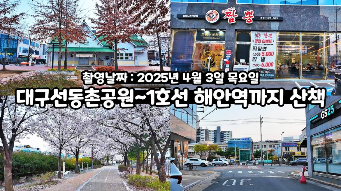 대구선동촌공원에서 대구지하철 1호선 해안역까지 길거리 골목길 산책 걷기
