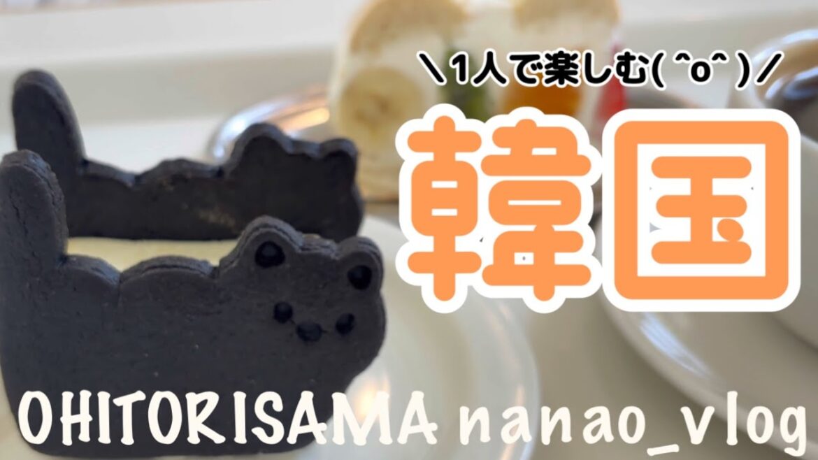 【韓国ひとり旅②】ねこのカフェと孤独の焼肉🍀空港最終食の正解も見つけたかも 【韓国ひとり旅②】ねこのカフェと孤独の焼肉🍀空港最終食の正解も見つけたかも