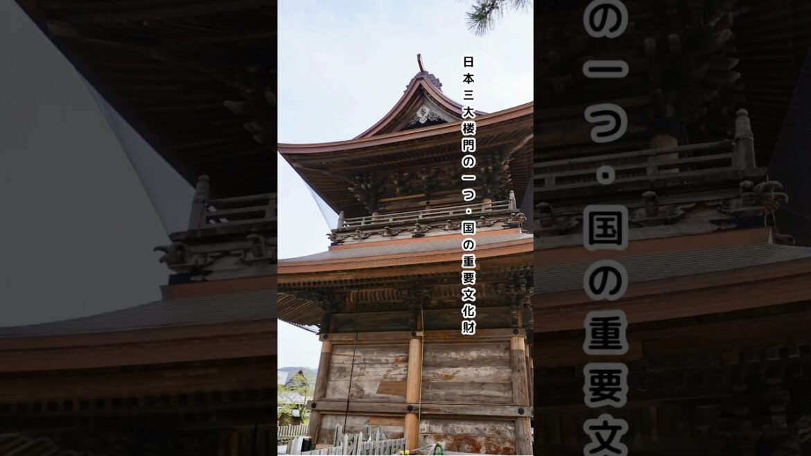 日本三大楼門のある熊本屈指のパワースポット阿蘇神社と南鳥居周辺で見つけたかわいいご縁餅【こつくわの観光スポット紹介】『熊本県阿蘇市』#shorts #観光 日本三大楼門のある熊本屈指のパワースポット阿蘇神社と南鳥居周辺で見つけたかわいいご縁餅【こつくわの観光スポット紹介】『熊本県阿蘇市』#shorts #観光