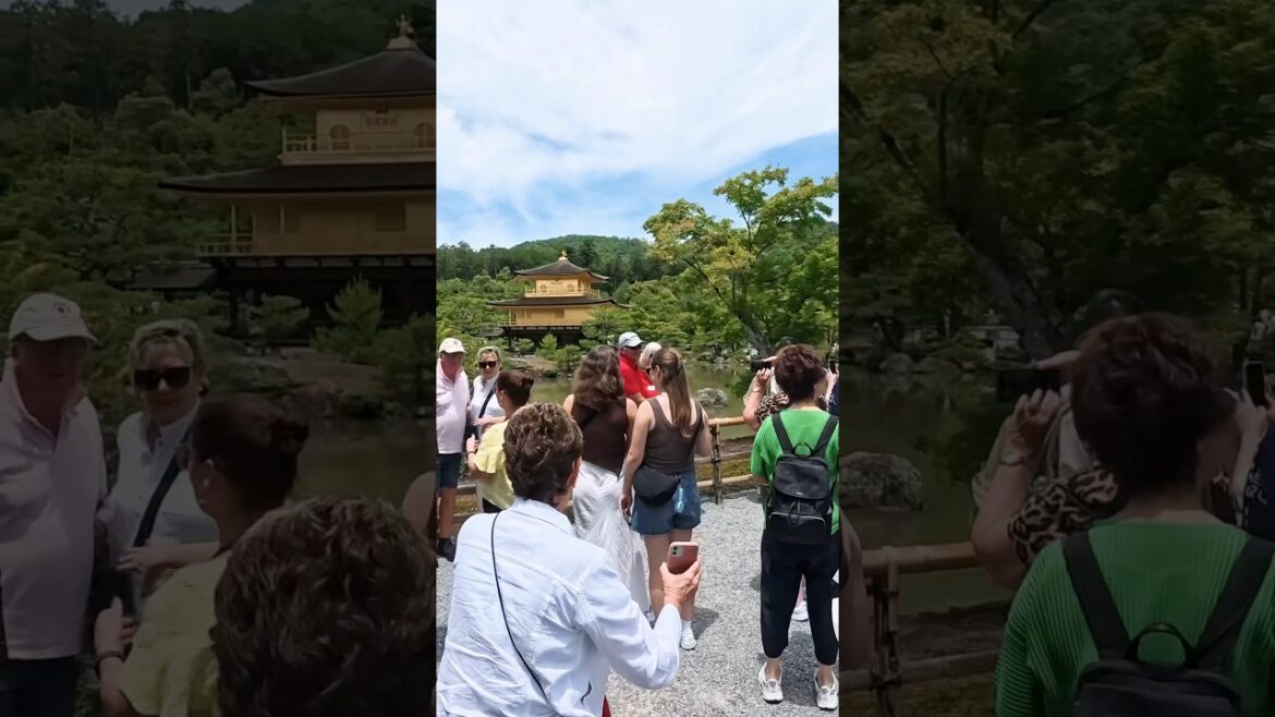 2025年6月13日（金）京都金閣寺の人出状況。外国人殺到！京都金閣寺人潮湧動。外國人蜂擁而至！Crowds at Kinkakuji Temple in Kyoto.