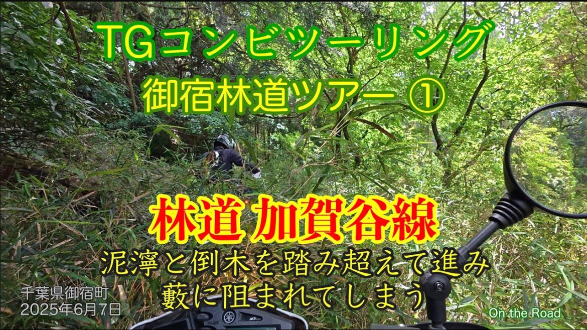 千葉県 林道加賀谷線 TGコンビ房総半島ツーリング 御宿林道ツアー① 2025年6月7日 夷隅郡御宿町 #japan #automobile #セロー250 #トリッカー #forestroad 千葉県 林道加賀谷線 TGコンビ房総半島ツーリング 御宿林道ツアー① 2025年6月7日 夷隅郡御宿町 #japan #automobile #セロー250 #トリッカー #forestroad