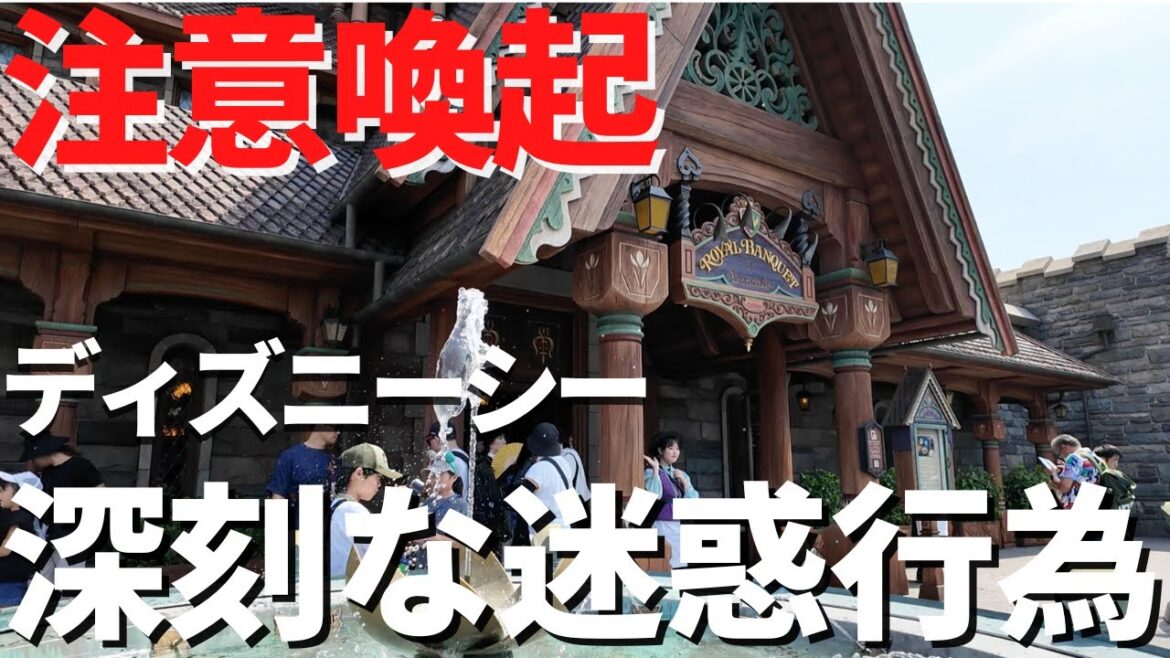 【ディズニーシー】絶対排除すべき。迷惑行為が深刻化してます...